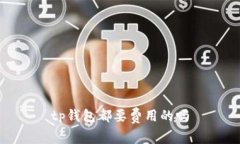 TP钱包费用问题解析及相关关键词