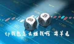 TP钱包：实用工具还能赚钱的方法详解