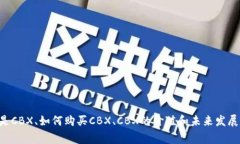 CBX虚拟币：什么是CBX、如何购买CBX、CBX的价值和