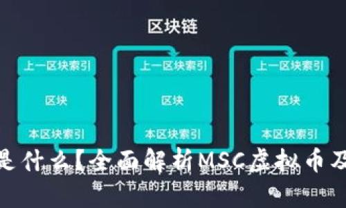 MSC虚拟币是什么？全面解析MSC虚拟币及其相关问题