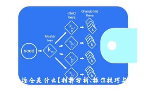 虚拟币逐仓是什么？利弊分析、操作技巧与风险控制