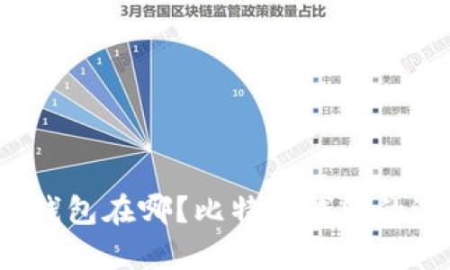 实体比特币钱包在哪？比特币钱包的选择有哪些？