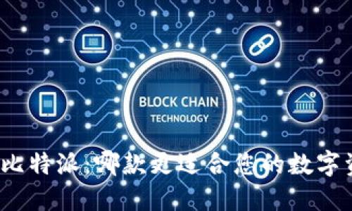 TP钱包与比特派：哪款更适合您的数字资产管理？