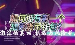  揭开硅谷加密货币泡沫的真相：机遇与风险并存