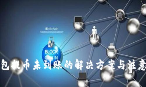 TP钱包提币未到账的解决方案与注意事项
