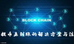 TP钱包提币未到账的解决方案与注意事项