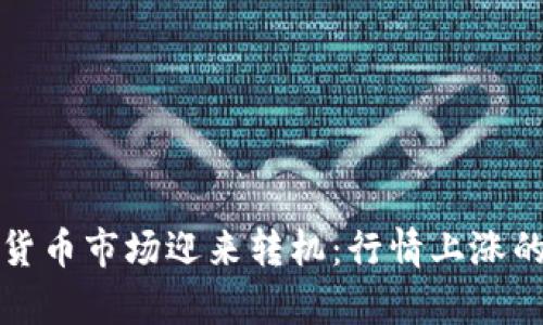 全球数字加密货币市场迎来转机：行情上涨的背后原因解析