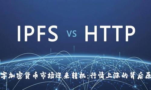 全球数字加密货币市场迎来转机：行情上涨的背后原因解析