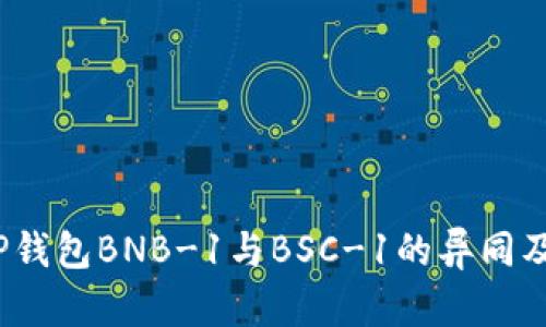 深入剖析：TP钱包BNB-1与BSC-1的异同及其应用场景