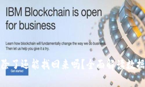 TP钱包删除了还能找回来吗？全面解读数据恢复策略
