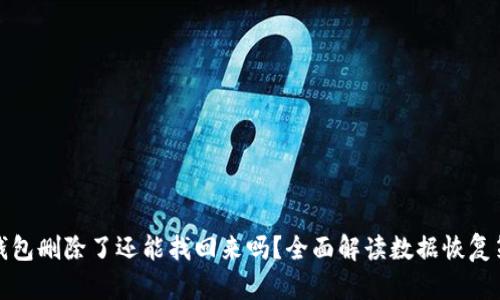 TP钱包删除了还能找回来吗？全面解读数据恢复策略