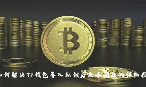  如何解决TP钱包导入私钥后无币问题的详细指南