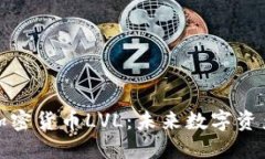深入探讨加密货币LVL：未来数字资产的新机遇