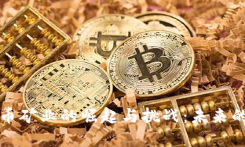 美国加密货币矿业的崛起与挑战：未来的机遇与风险