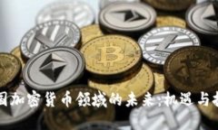 中国加密货币领域的未来：机遇与挑战