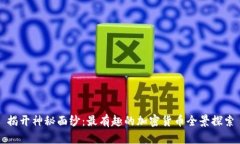 揭开神秘面纱：最有趣的加密货币全景探索