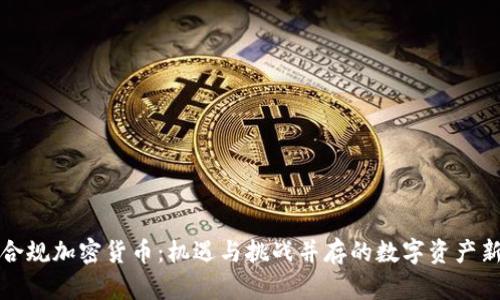 美国合规加密货币：机遇与挑战并存的数字资产新时代