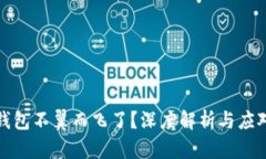  t p钱包不翼而飞了？深度解析与应对策略