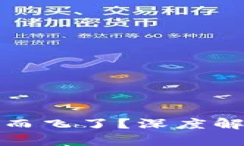  t p钱包不翼而飞了？深度解析与应对策略