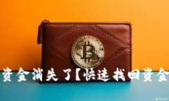 TP钱包里的资金消失了？快速找回资金的解决方案
