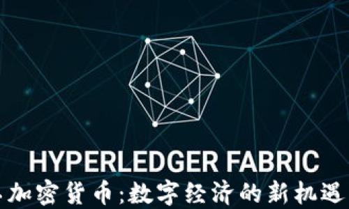 
揭秘不加密货币：数字经济的新机遇与挑战