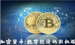 揭秘不加密货币：数字经济的新机遇与挑战