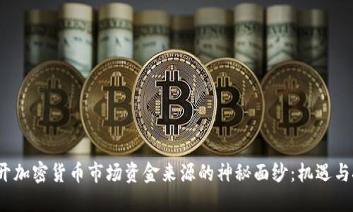  揭开加密货币市场资金来源的神秘面纱：机遇与挑战