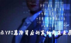 揭示YFI暴降背后的真相与未来展望