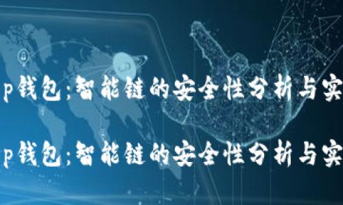 t p钱包：智能链的安全性分析与实践

t p钱包：智能链的安全性分析与实践
