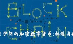 探索伊朗的加密数字货币：机遇与挑战