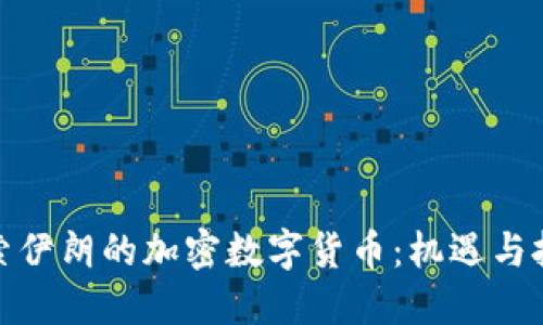 探索伊朗的加密数字货币：机遇与挑战