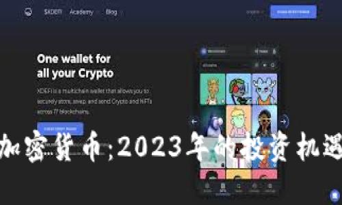 : 小型加密货币：2023年的投资机遇与挑战