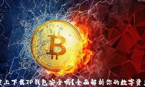 
在百度上下载TP钱包安全吗？全面解析你的数字资产安全