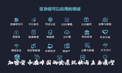 加密货币在中国的发展现状与未来展望