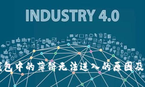 新版TP钱包中的薄饼无法进入的原因及解决方案