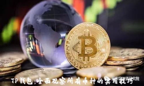 
TP钱包：全面观察所有币种的实用技巧