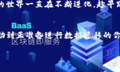 TP钱包迁移数据安全吗？全面解析数据迁移的安全