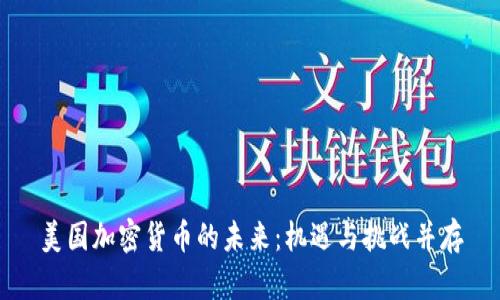 美国加密货币的未来：机遇与挑战并存