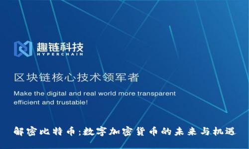 解密比特币：数字加密货币的未来与机遇