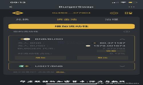 印度联储的加密货币：潜力与挑战