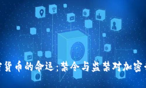 : 印度加密货币的命运：禁令与监禁对加密行业的影响