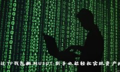  通过TP钱包搬砖USDT：新手也能轻松实现资产增值