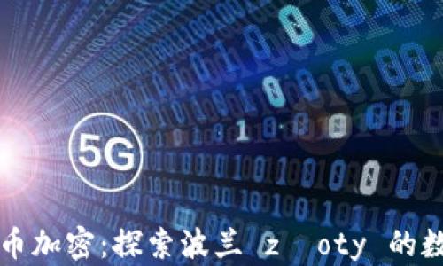 
波兰货币加密：探索波兰 złoty 的数字未来