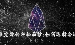 揭开加密货币定价的神秘面纱：如何选择合适的