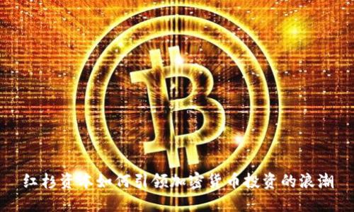 红杉资本如何引领加密货币投资的浪潮