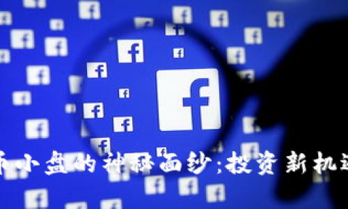 揭开加密货币小盘的神秘面纱：投资新机遇与风险分析